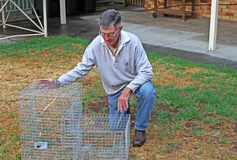 KNOW-HOW: Eric Fair shows one of the feral bird traps, which have helped rid Canberra of pesky Indian mynas. A workshop on Saturday in Tamworth will demonstrate how to build the cages. Photo: Brian Fair
