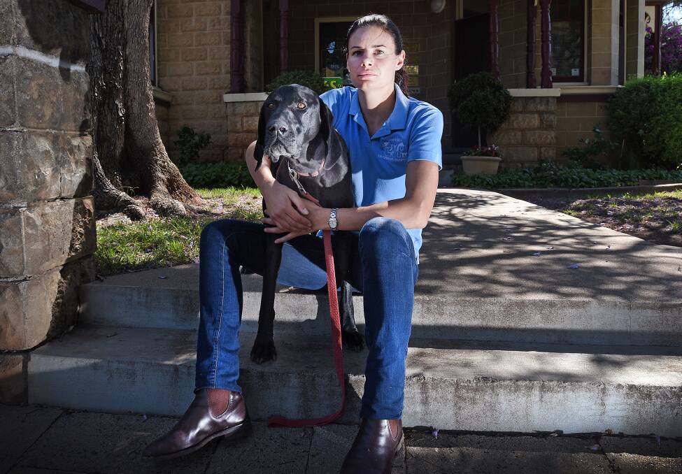 DISEASE SPIKE: Tamworth vet Dr Jess Bourke with German short-haired pointer Attila. Dr Bourke says they have had a rise in parvovirus cases recently. Photo: Gareth Gardner 241115GGB01