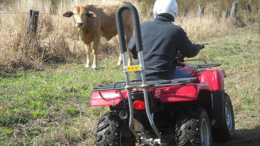 Quad bikes to be rated in safety system