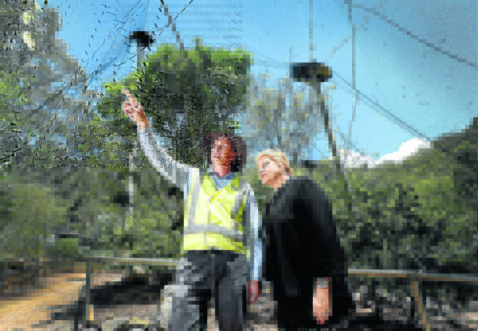 SEARCHING FOR ILLEGALS: Tamworth Regional Council communications and engagement manager Caroline Lumley and senior parks and horticulture officer Hugh Leckie checking the aviary for any new residents. Photo: Gareth Gardner 070115GGB10