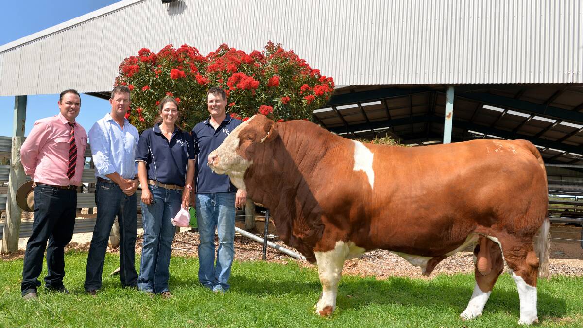 The $160,000 bull with Elders agent Ben Finch, buyer Brett Nobbs, Nobbs Cattle Co, and Woonallee stud principals Lizzy and Tom Baker. Photo - supplied. 