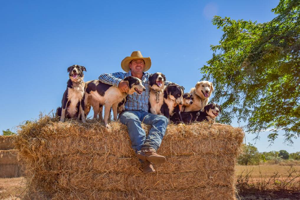 WINNER: Tom Curtain, pictured here with his working dogs, at his property in the Northern Territory.