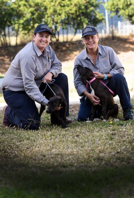 FREE: Mel Molloy and Jodie Mcgowan of Tamworth Regional Council, invite you to microchip your pets. Photo:Gareth Gardner 040517GGE01