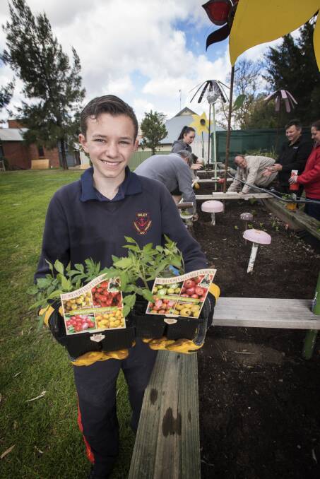 GREEN THUMB: Oxley High's Brandon McManus has had community support in his vegetable garden project. Photo: Peter Hardin 140917PHA009