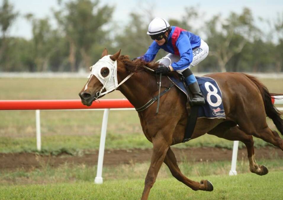 Number 15: Melted Moments continued his winning ways at Murwillumbah on Monday. Photo: File photo