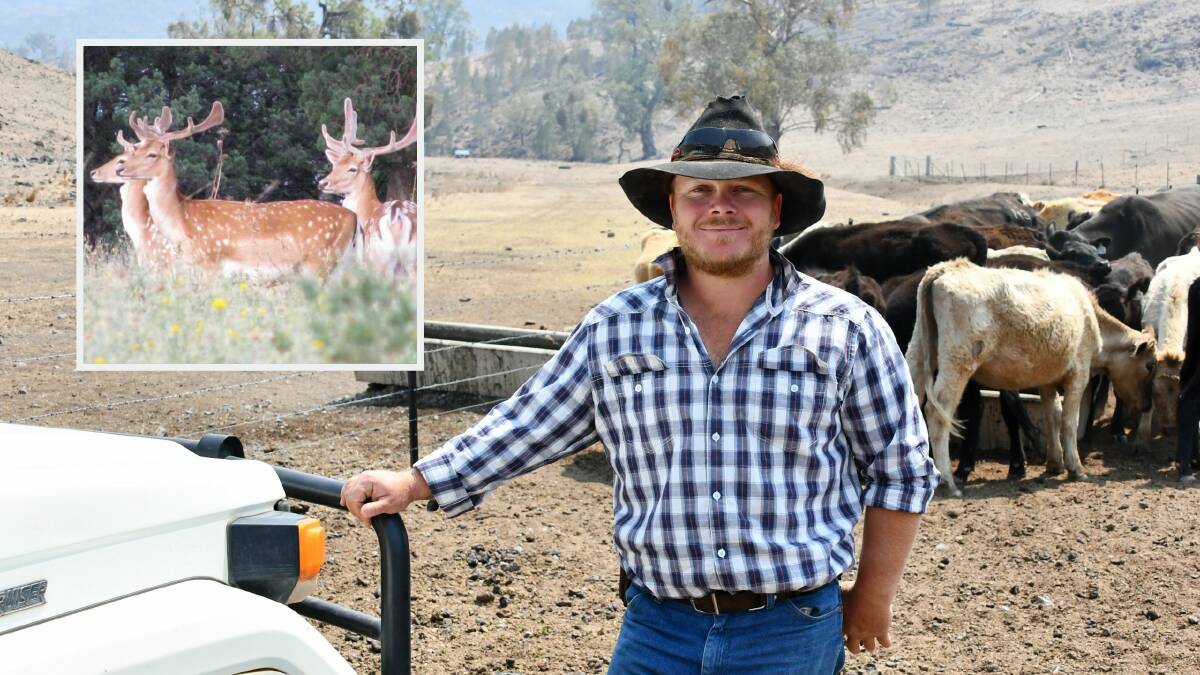 Bingara's Daniel Brewer turned to game harvesting as an off-farm income and believed alternative protein could play a key role in future meat consumption.