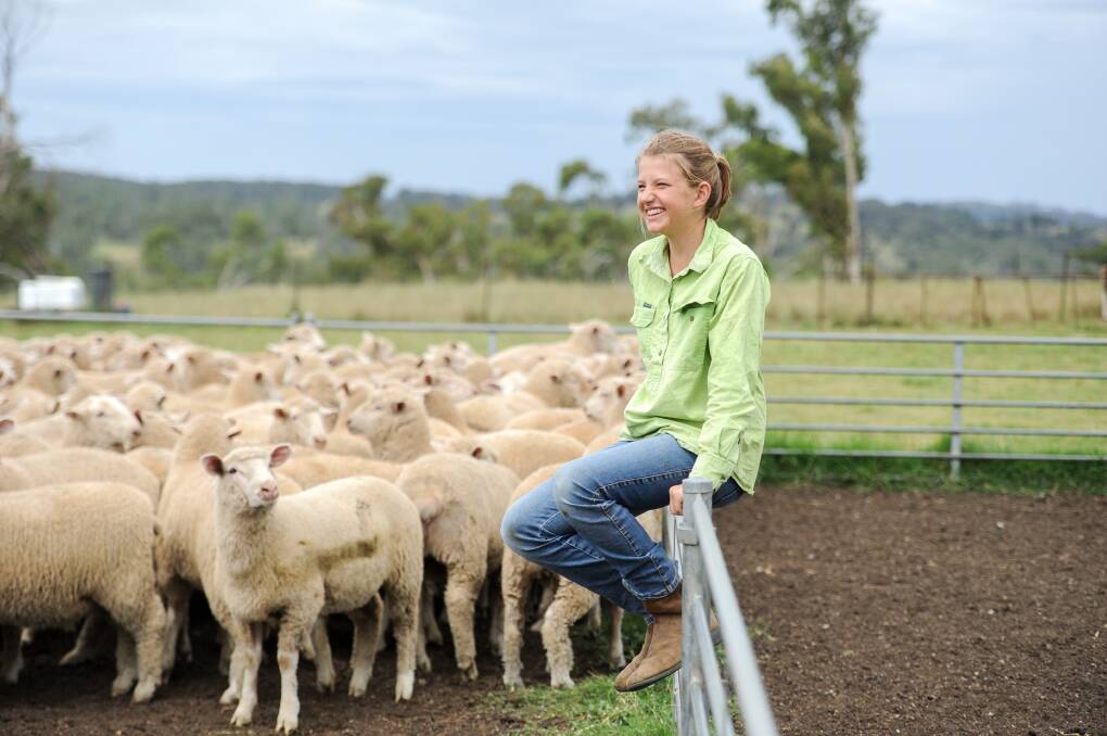 How poddy lambs sparked a sheep enthusiast