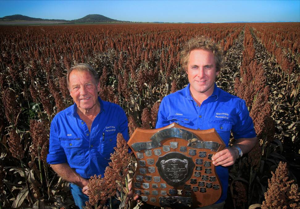Premer Shield Sorghum Competition winners Rob and James Davidson of Merrivale Partnership between Mullaley and Spring Ridge in their winning crop of Pioneer A66 Sorghum before it was harvested in early August. Photo: Sam Gall