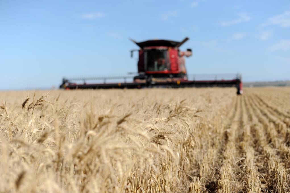 Harvest was in full swing ahead of forecast wet weather. 