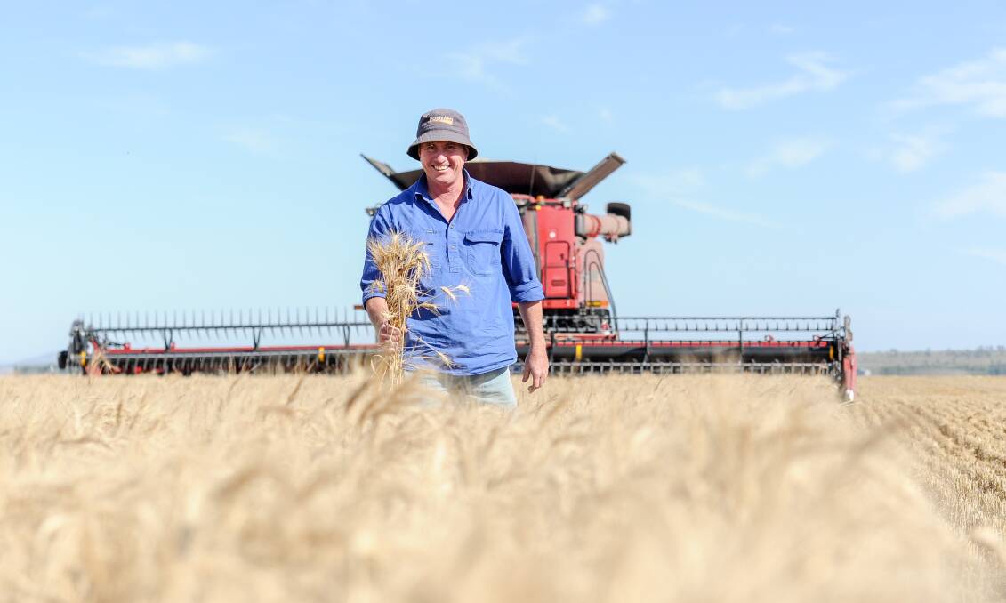 Willow Tree contract harvester Russell Smith at the Duddy family's Millers Creek Plains harvesting wheat. 