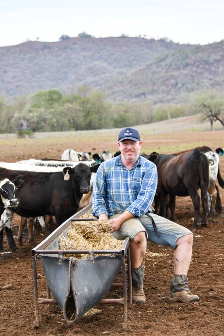 Bingara's Ben Mack has 650 young cattle on feed as an alternative turnover option. Despite missing rain to feed for longer, the gamble will pay off thanks to a firing market. 