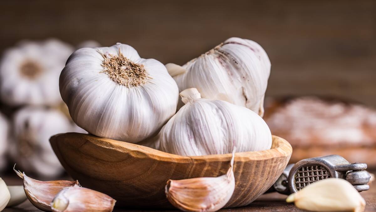 International appeal: Garlic is native to Uzbekistan and Kurdistan in Central Asia, and was traded to both Europe and Asia, where it has become part of their culinary staples.  