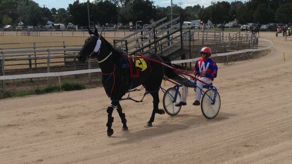Midnight Montana with Richard Williams in the spider after the Inverell win. Picture courtesy of HRNSW.