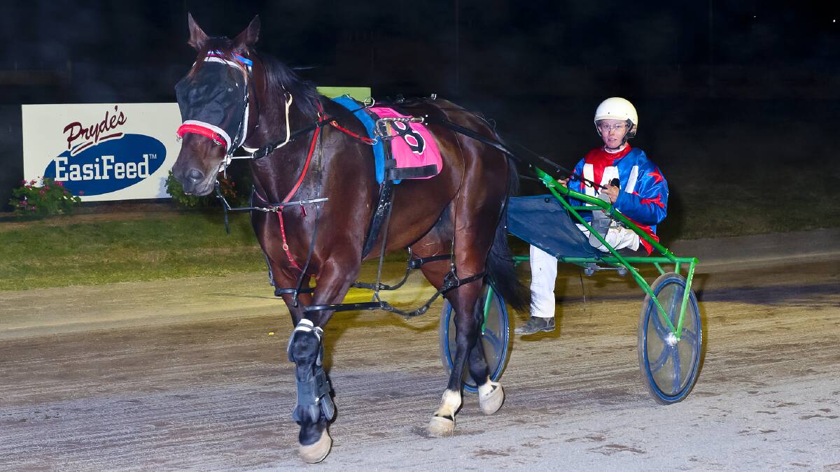 Great news: Itsnewstome returning to scale with in-form reinsman Tom Ison after their Tamworth win.