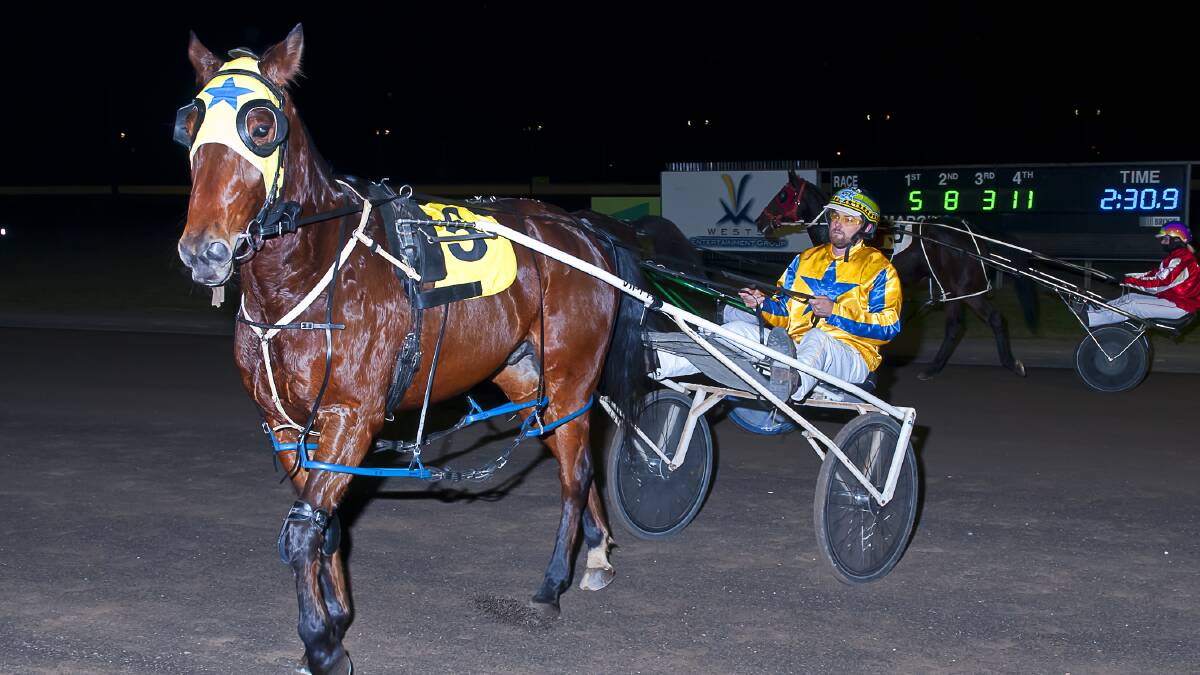 Dubbo reinsman James Sutton and Its Well Said after a win at Tamworth last week. Sutton will be looking forward to another win on his home track of Dubbo on Sunday. Picture courtesy PeterMac Photography