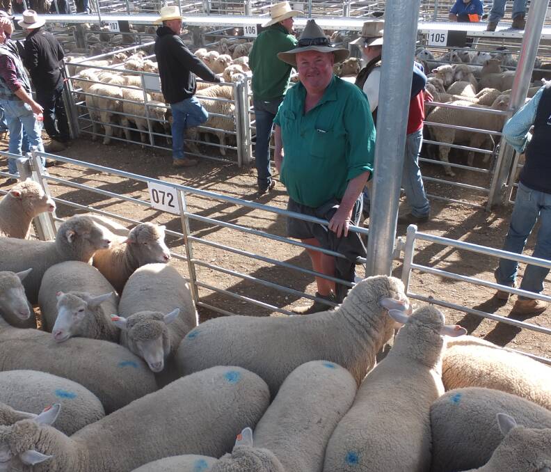 Peter Wiseman with lambs that sold for $354 a head at Tamworth prime sale on Monday.