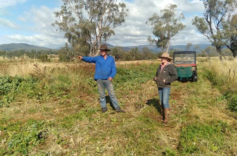Fencing contractor Rob Pryor, Gunnedah, and landholder Maddy Pursehouse on her property Rothesay planning a fence to stockproof a creek and encourage groundcover.