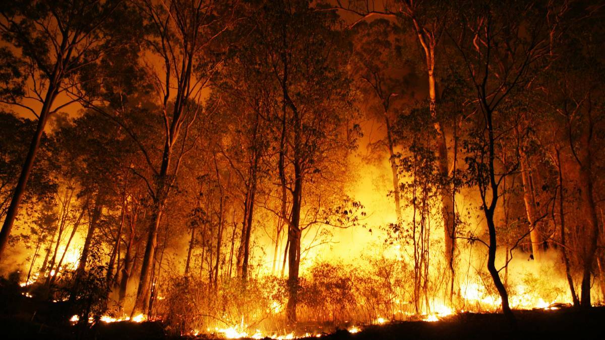 BE CAREFUL: Scammers are targeting generous Australians who are donating to help bushfire-affected communities, the ACCC says. Photo: FILE