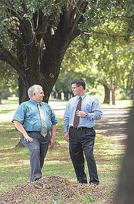 The king’s trees to fall: Standing where an oak once stood, Tamworth City councillor John Green and the city council’s senior roads and drainage engineer Mick Bloem assess the English oak trees that will be felled. Photo: Barry Smith