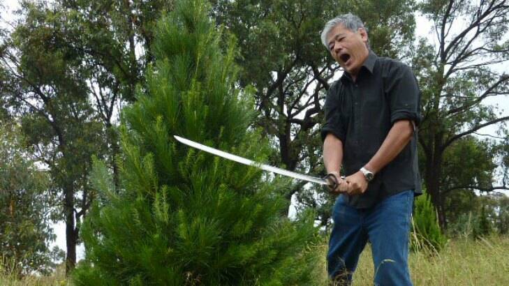 Keng Tan, the Christmas Tree man, demonstrates the unusual way he prunes his Christmas trees – with a samurai sword!