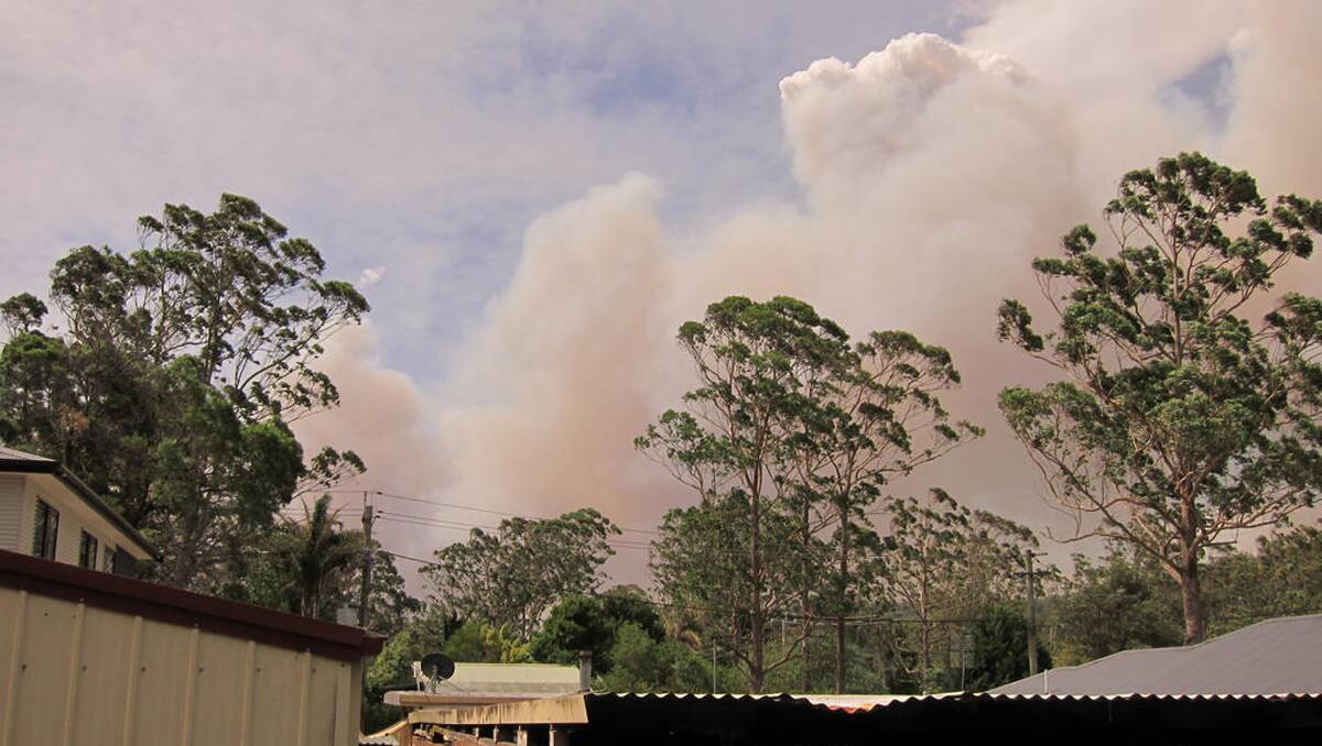 The Dean's Ridge Fire ripped across the Princes Hwy near Wandandian. Photo: heymabel/Twitter. 