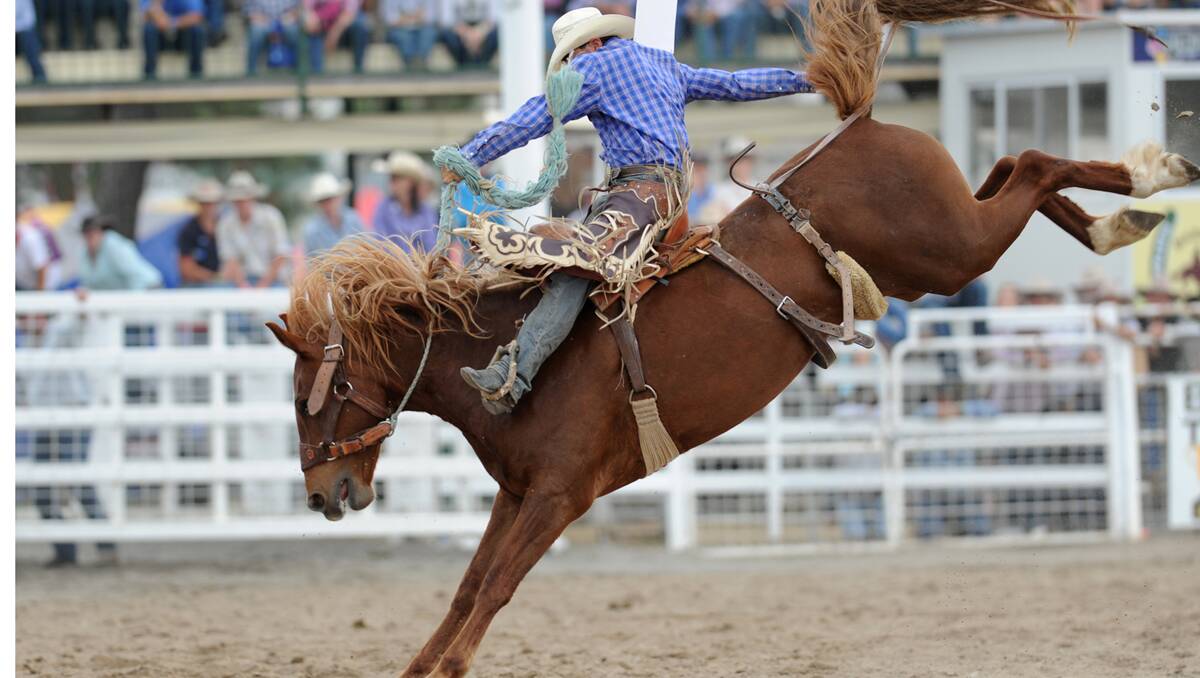 Tooma cowboy Brad Pierce is one of the main hopes at APRA rodeos this weekend. Photo courtesy of www.kenyonsportsphotos.com.au