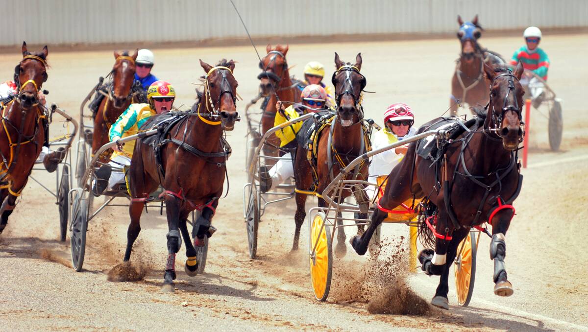 Dean Chapple urges Any Record to a debut win at Tamworth yesterday for Ernie Mabbott. Photo: Barry Smith 151112BSE02