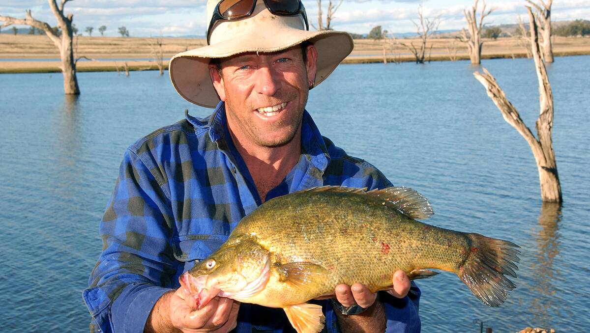 FISHY TIME: Ardent angler Andy O’Connell from Gunnedah with a yellowbelly he caught recently at Lake Keepit. Photo Peter Lorimer