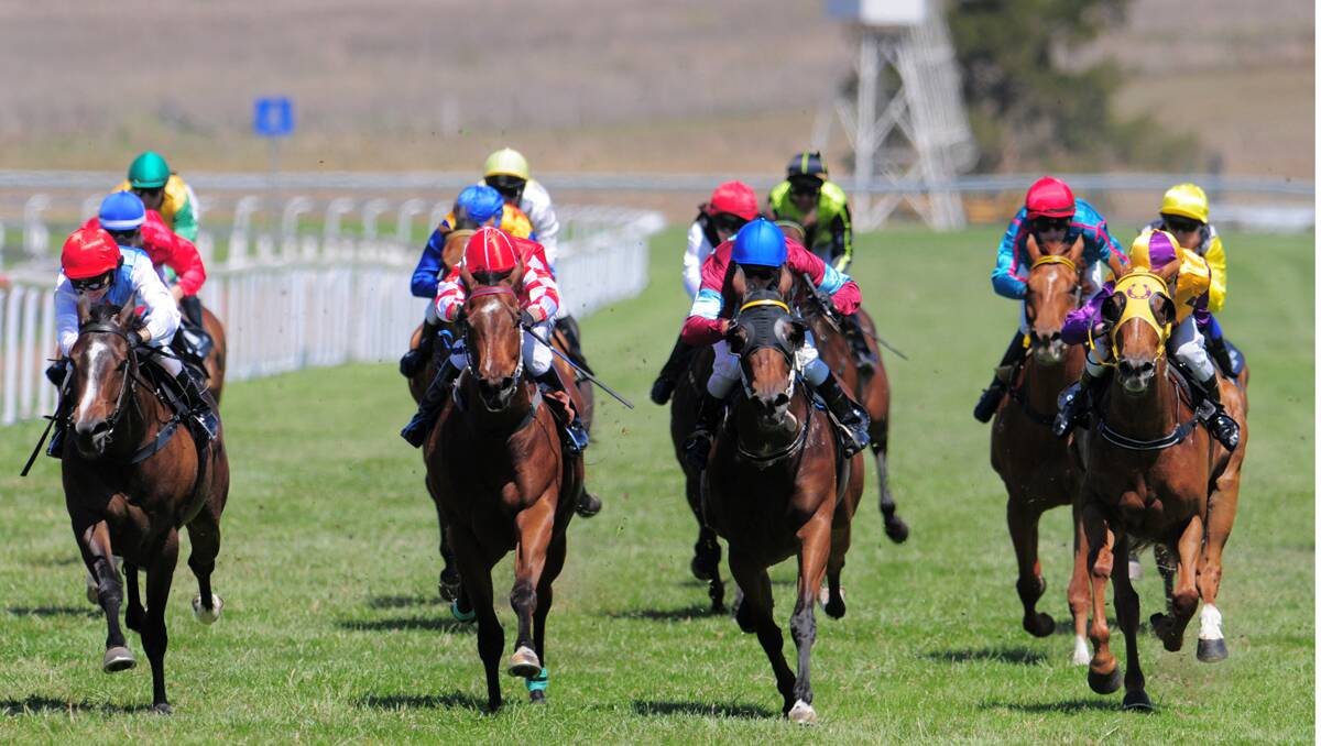 La Disco (left) wins on debut from Mt Annan, Annonay and Regal Thunder at Quirindi yesterday.  Photo: Barry Smith 131112BSC08