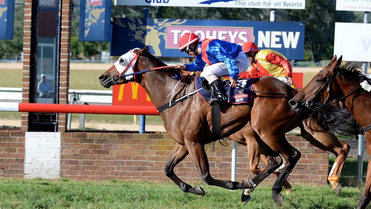 Keep It Danish wins at Armidale on Monday and might now look at next month’s Jardel Cup in Tamworth. Photo:  pixonline.com.au
