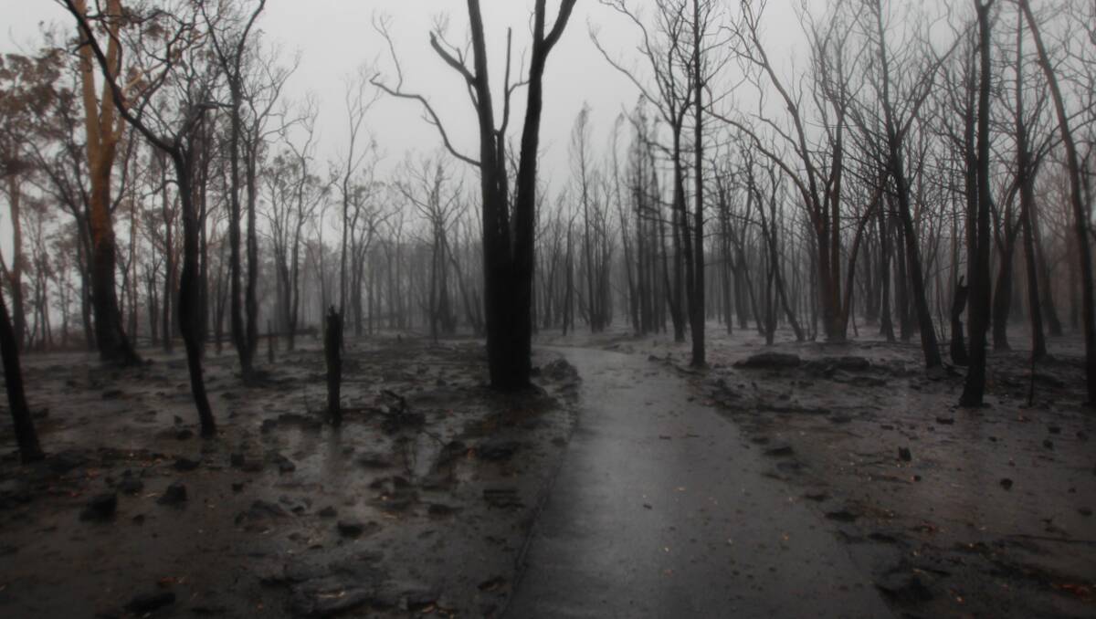 MOONSCAPE: Eighty per cent of the Warrumbungle National Park in Coonabarabran has been burnt out in the bushfires. Photo: Jacky Ghossein