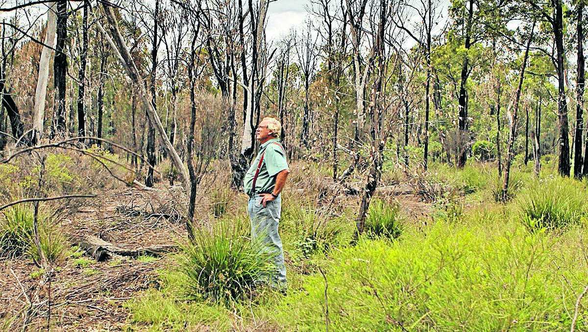 tour guide: Tony Pickard will lead a group through the Pilliga forest to share his concerns about coal seam gas. Photo: Fairfax