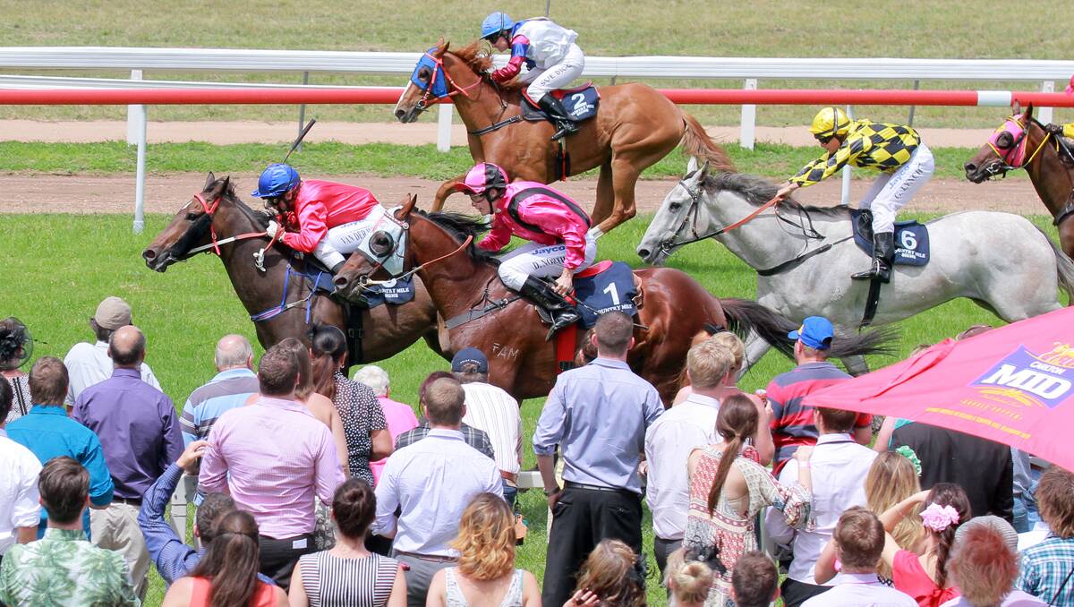 Flash Attack holds off Exotic Fever to win yesterday’s Murrurundi Cup and give Courtney van der Werf the first leg of a winning treble. Photo: Robert Chappel 261212RCF18