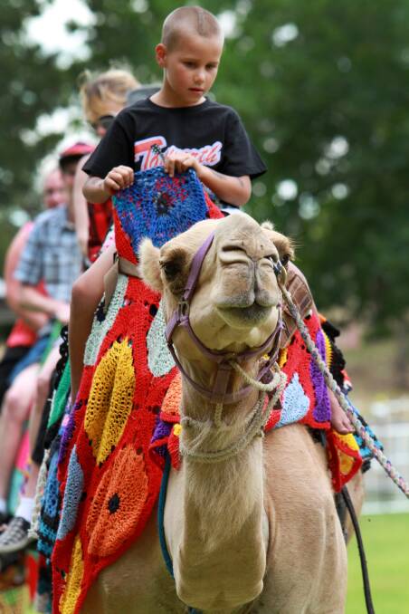 A young festivalgoer on a camel ride. 220114GGC01